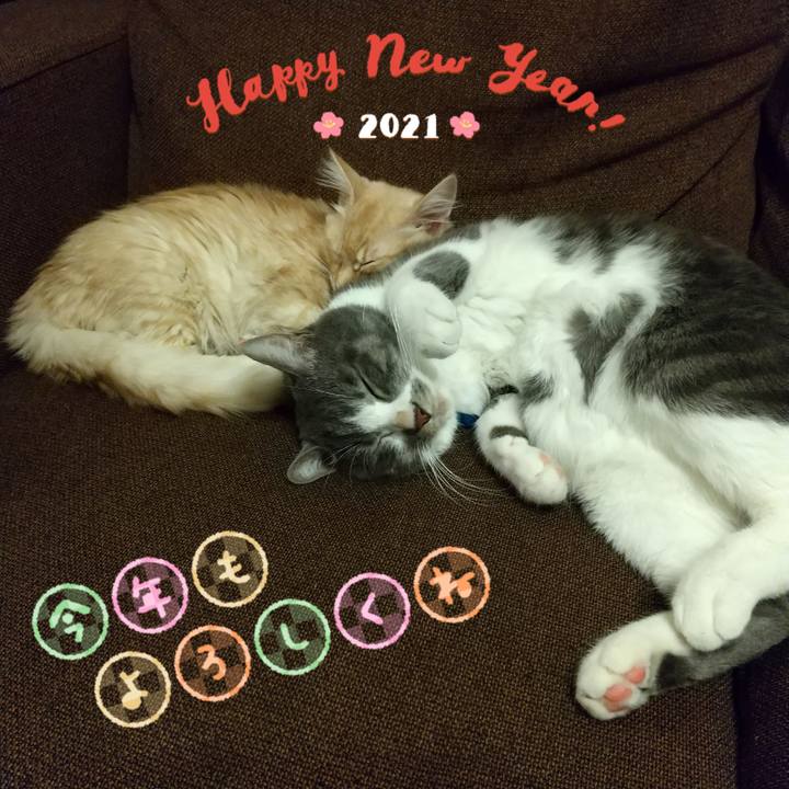 Fc6b6a22 d48e 47e2 b8ec e103b4db418e 1609426821228