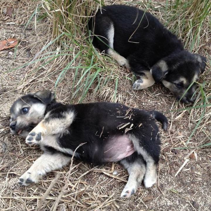 Fc6bb64e 540a 4c5f bdd4 ea5e9e4a951c 1642147482769