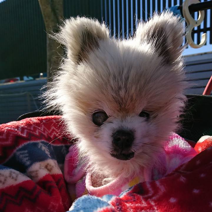 Fc6c288e e146 4b43 a5bc 1df65143e06c 1549961533458