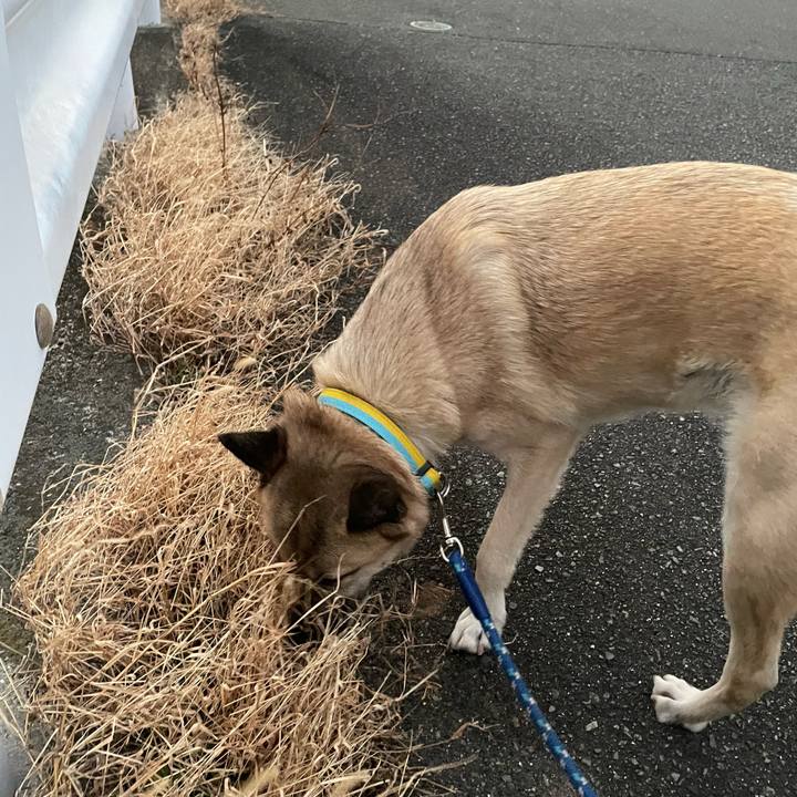 Fc6c588f b4ab 4a05 9040 44e1e9a7a04d 1642161852464