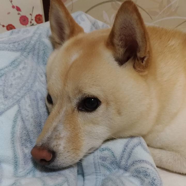 Fc6c6511 984c 4f71 a094 a76672dc7699 1567862198950