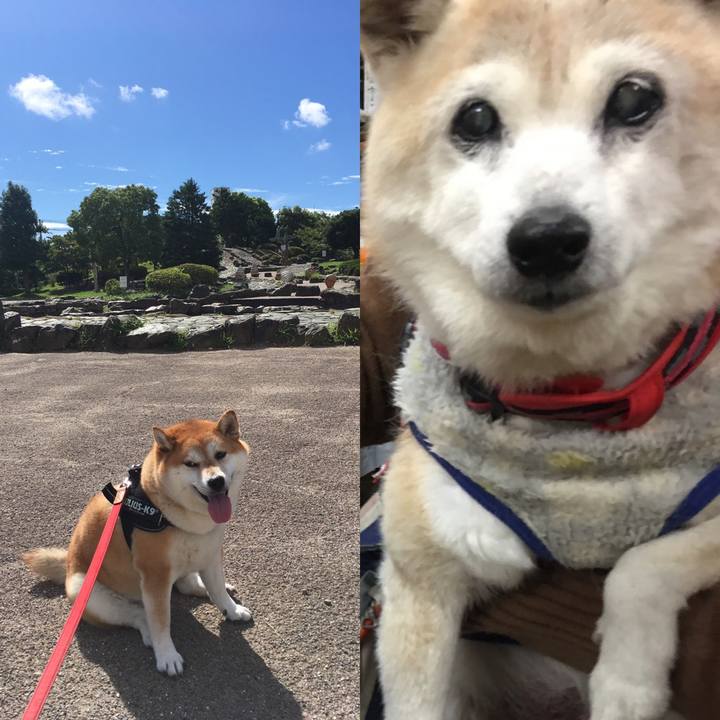 Fc6c8b4d 76be 43a8 bcf8 b8e62513b62c 1601947341141