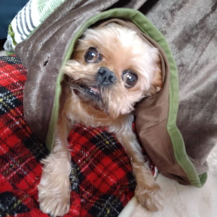 Fc6c9a35 8e3e 48cb bd93 52b0a3212573 1627094544285