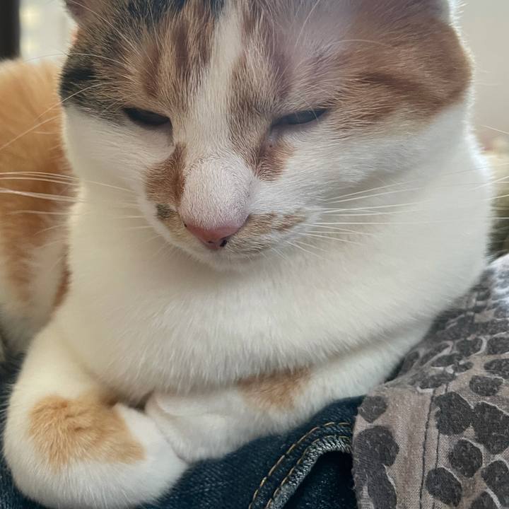 Fc6c9db9 b619 4c1e 8e93 5c46cd8e14c8 1621068244805