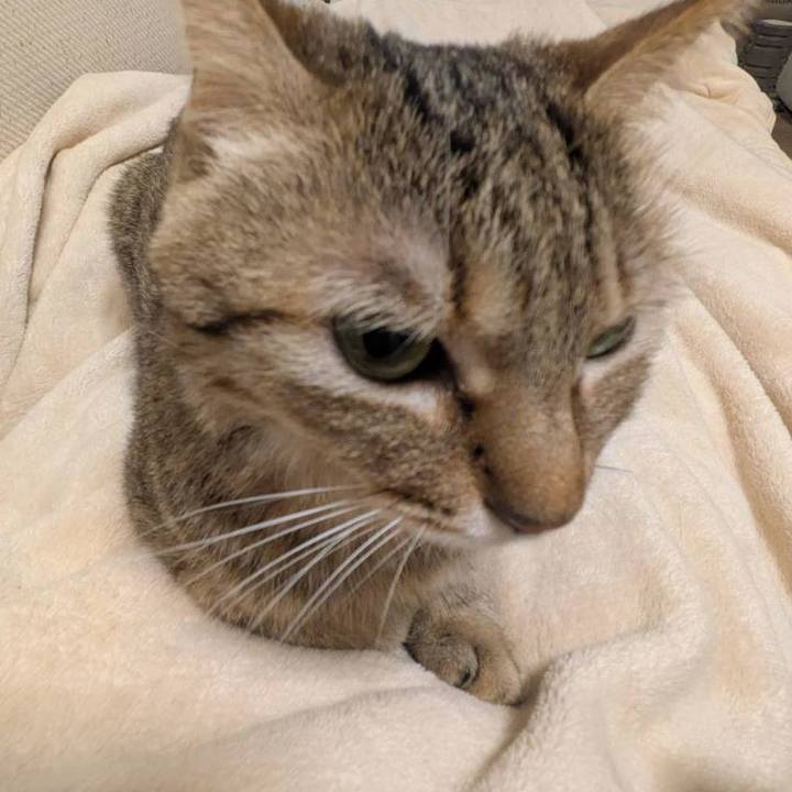 Fc6ca388 0552 4be6 b526 f42401978786 1763505072316