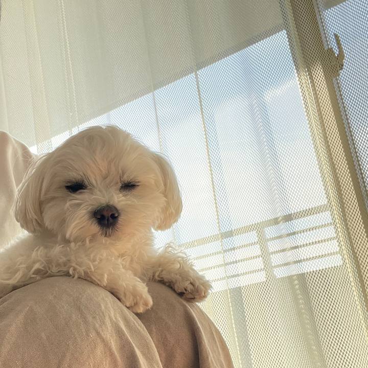 Fc6ca47a e944 4126 b629 b38dee5b795b 1773703097680