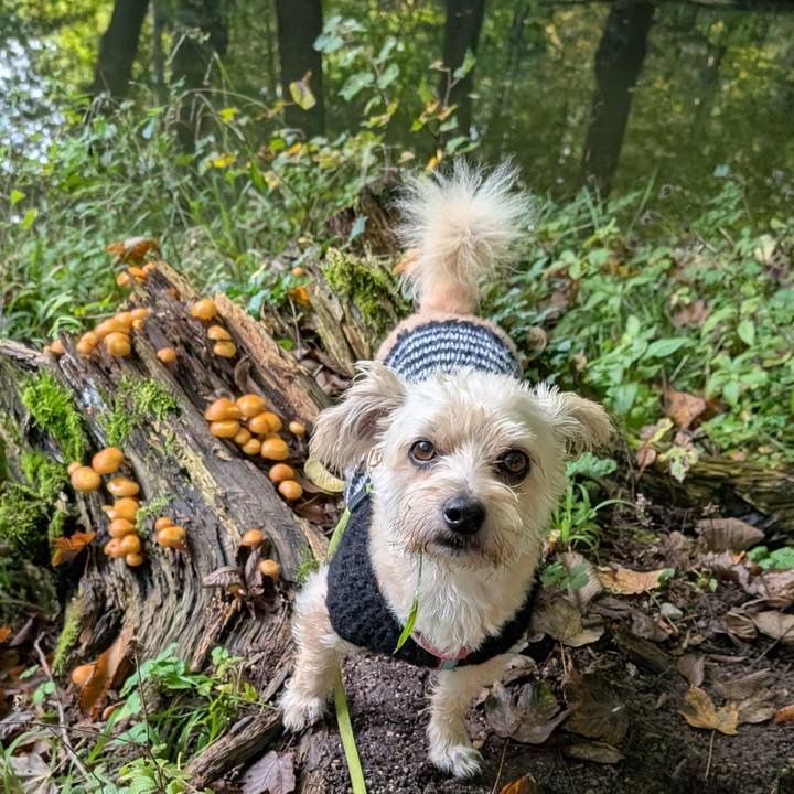 Fc6cb371 0071 484b 8f62 213239b240d0 1759317102317