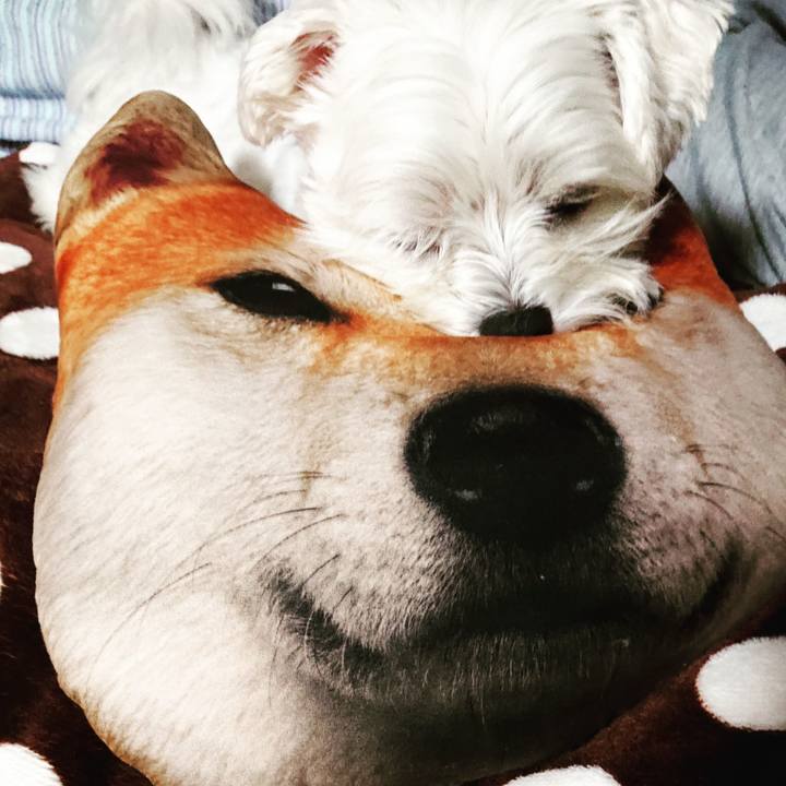 Fc6ce815 c129 4572 aa7e 8b42895debfa 1542115240027