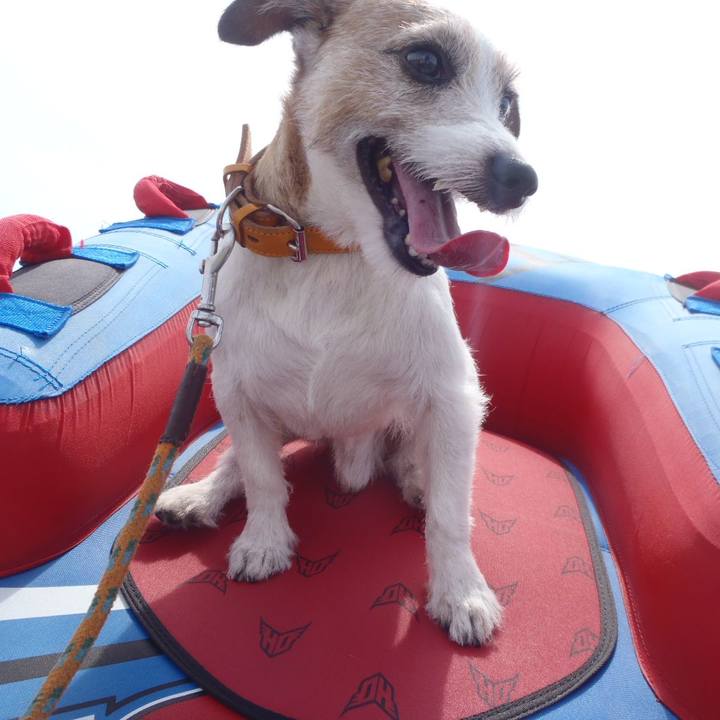 Fc6cf469 79c2 4f16 8da3 cb321d53e153 1534663340595