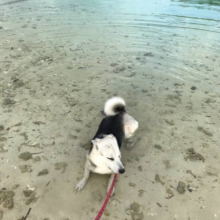 Fc6d1e13 55b1 41d1 a99b 658889059de6 1589202281306