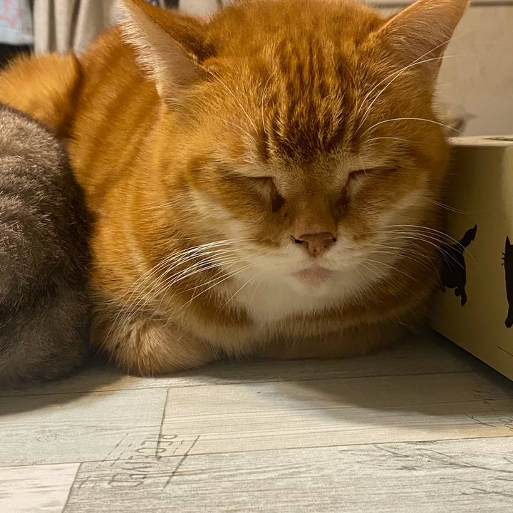 Fc6d2b9e 8bf1 4f11 a595 a1863acd0a35 1613574483132