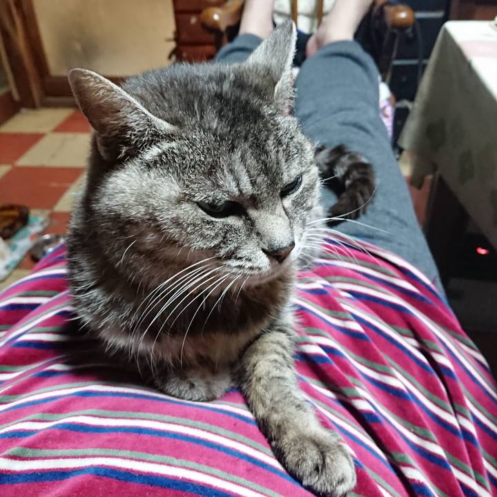 Fc6d306a 0f9e 4bbd ad62 82c64939bff0 1577614018160