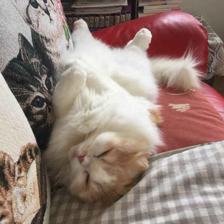 Fc6d3a8e b73b 48e5 8362 12213a5d82d5 1558230574481