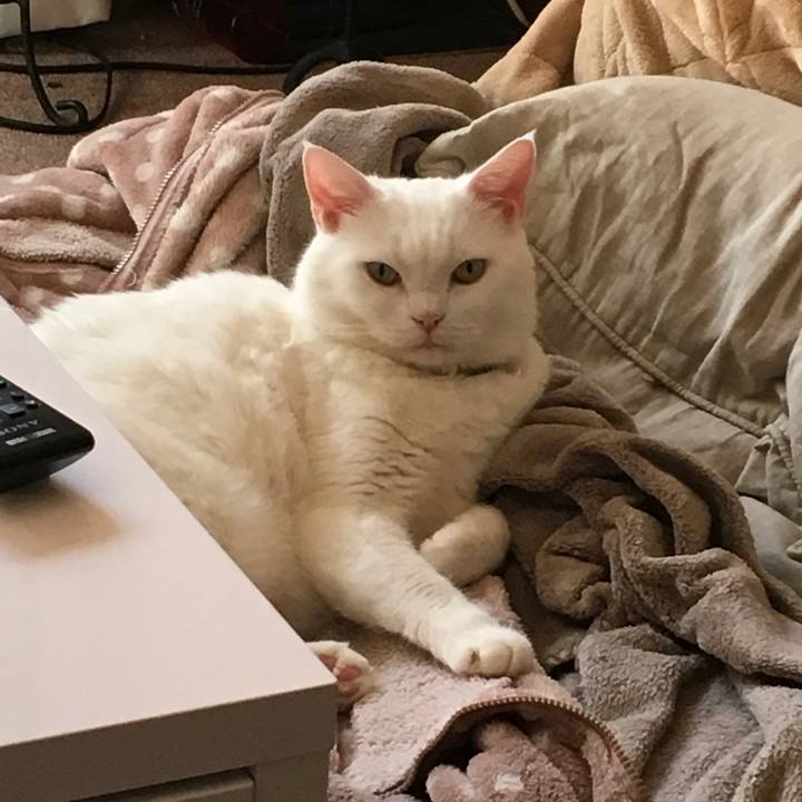 Fc6debb3 9dc0 4832 9455 ac577971ce89 1510291965081