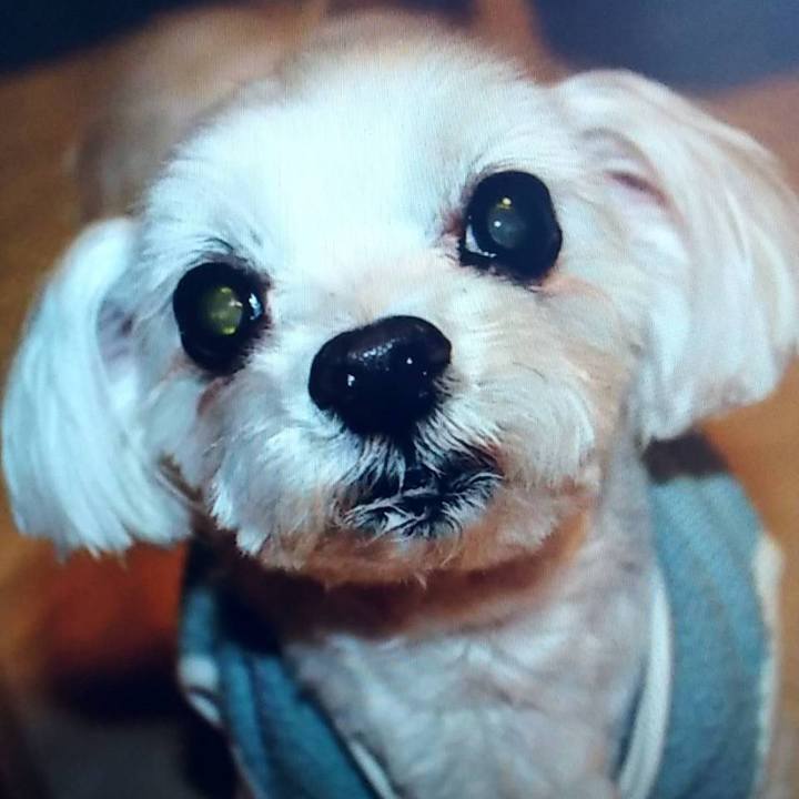 Fc6e315f 6845 4b88 b8f3 e82705640529 1633402282549