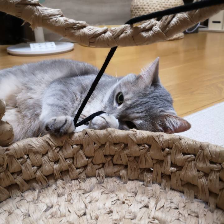 Fc6e4674 67a1 405a 99b4 c5defc3075c0 1560264046250