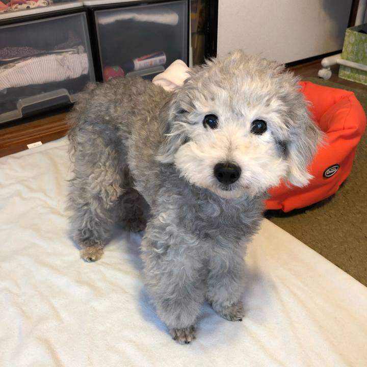 Fc6e538f 9833 4fb7 8059 a5a3b2c3d08f 1527676056005