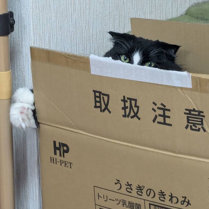 Fc6e57ab 464e 4d5e 9c76 49e072d354c2 1743116924014