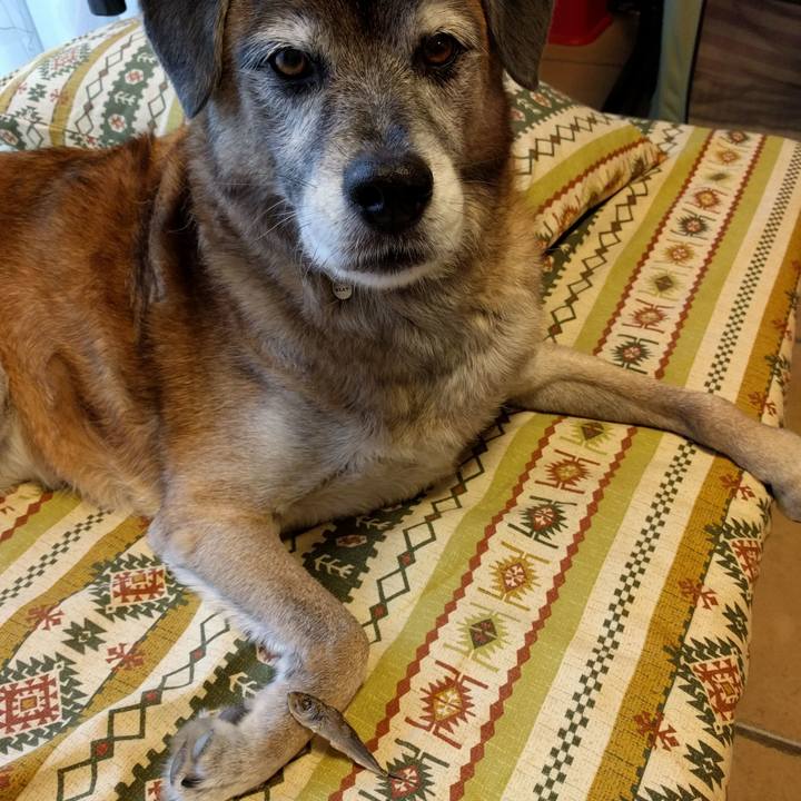 Fc6e63a1 fa30 4f3a 8eee 424ebdfdb414 1540267187508