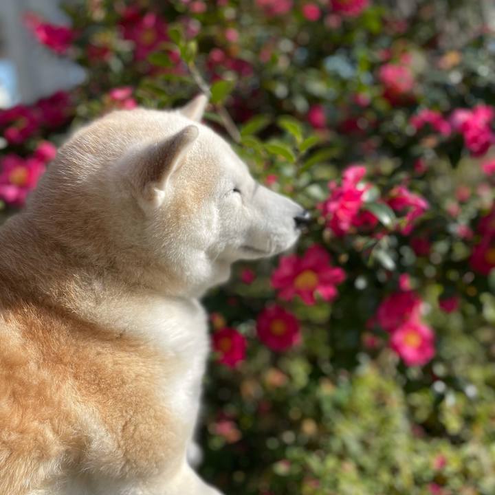 Fc6e8a97 685d 4500 bf84 e9e4924fc275 1641519082334