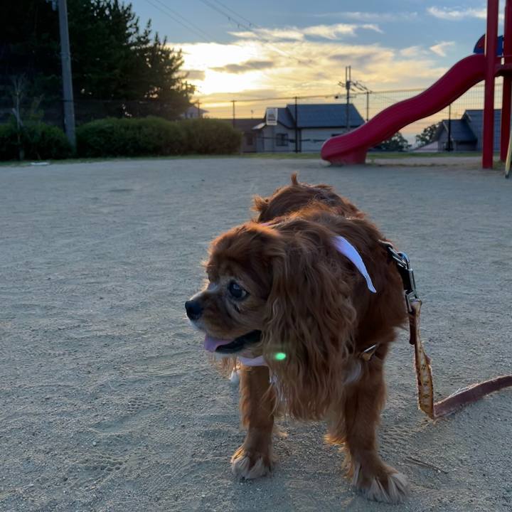 Fc6e90ba 476a 441d a848 f2c1cb134e1e 1693696387297