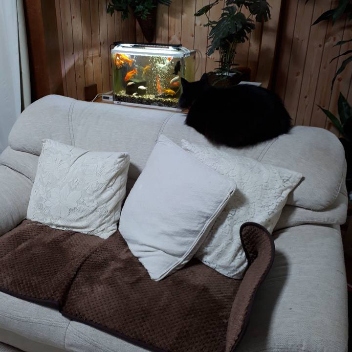 Fc6e93fc 5c15 4f10 9020 db3fb0989479 1519674805048