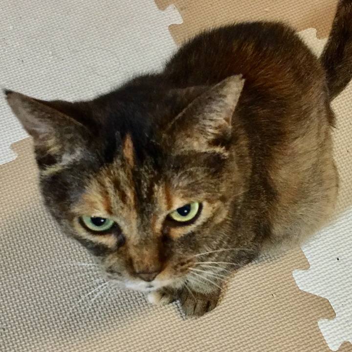 Fc6ee20f 3cae 428d ab45 788bb3d78014 1566715972364