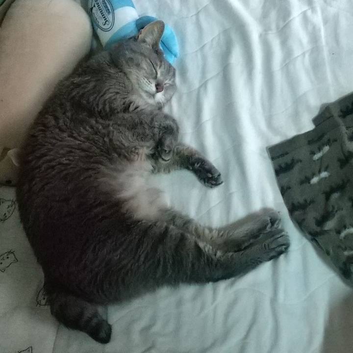 Fc6eee71 8de7 4566 a444 6093b3e5d73f 1685225312959