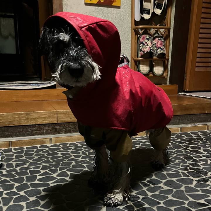 Fc6f0c7e 45de 47a0 bc39 d6512a1495d3 1743174583952