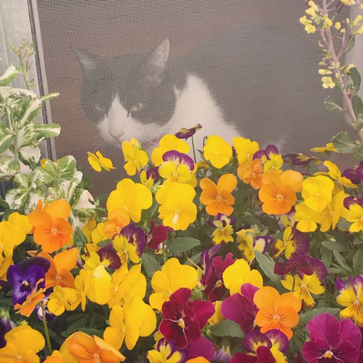 Fc6f20aa cdfe 425a 9529 750529ce4a0b 1588583111981