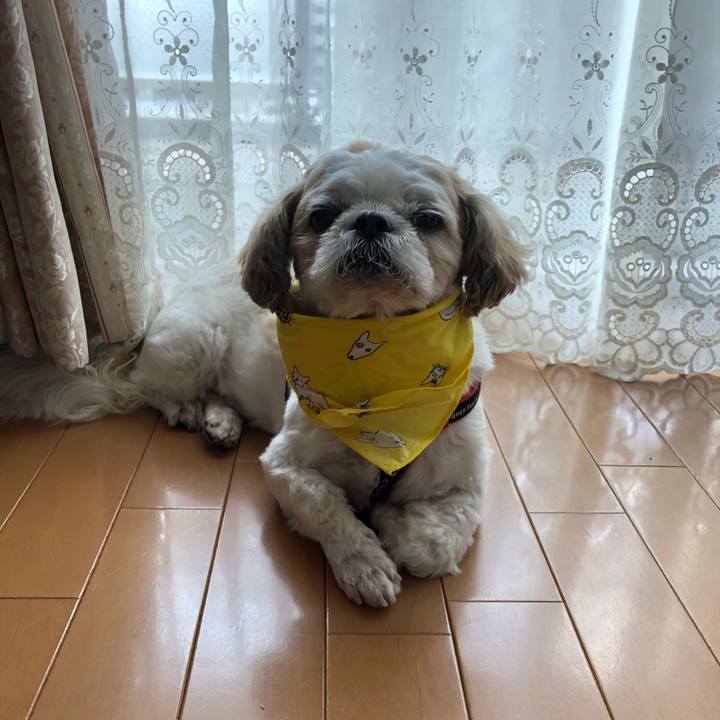 Fc6f7bb5 b67c 4bda 9999 f35a916af1ac 1565042000678