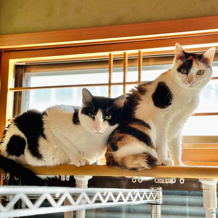 Fc6fc07e 169a 4194 81a8 a0a86c8a4500 1687051942408