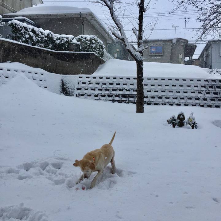 Fc6fcad9 993f 45de a194 f12c343f4c62 1548779045005