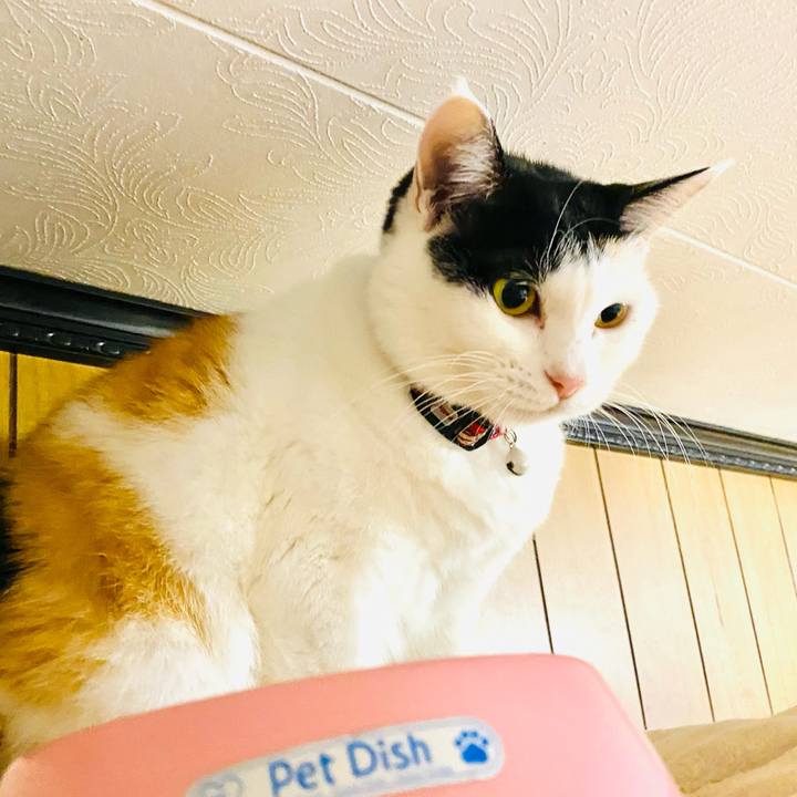 Fc6ff8ed 4a29 486d 9eb6 067cb93f0de4 1668030665753