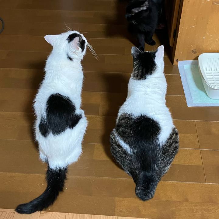 Fc701ea7 73b0 4368 9dfa fa307d6b9eb3 1757494639420