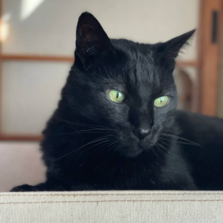 Fc7036c4 8b8a 4a36 8674 0075f5339529 1620612127826