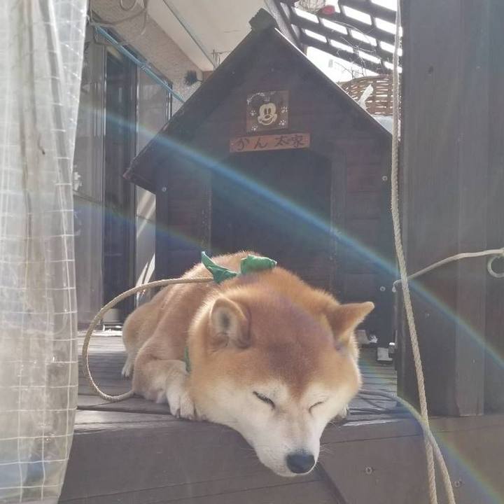 Fc704ae4 1514 4044 a5f2 06d57915ec6e 1555717304544