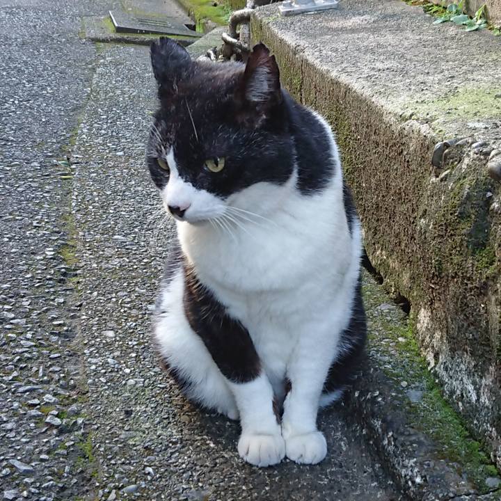 Fc70bb53 12e5 455d ba40 850934fc568a 1697500315903