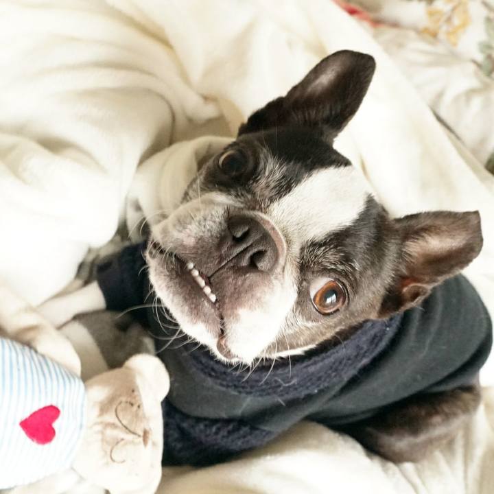 Fc70f8b4 7128 44a9 acab 29174e468ee6 1511237552073