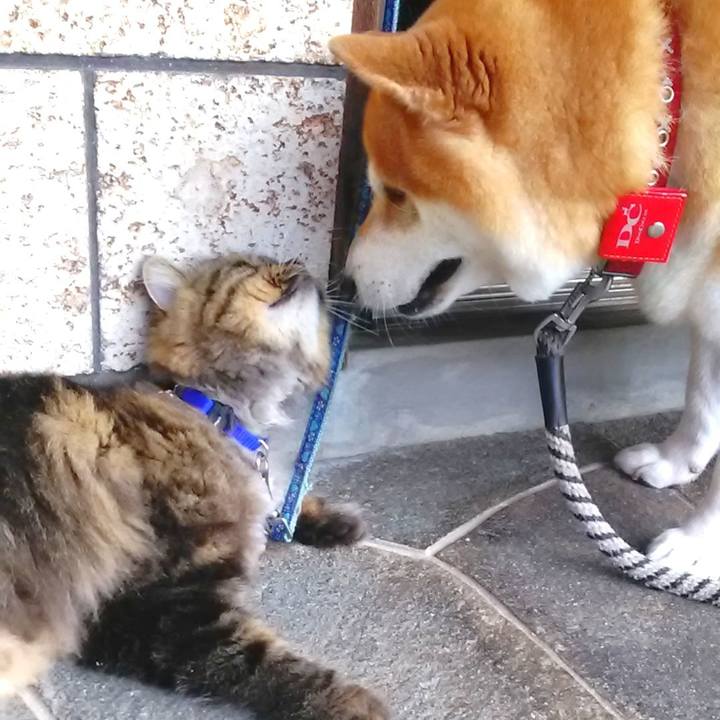 Fc71684c 8ce0 453b 8f42 bfb04f4f832b 1630193920840