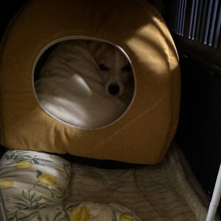 Fc716992 34c0 4011 b36e 70ef9288be79 1681038922000