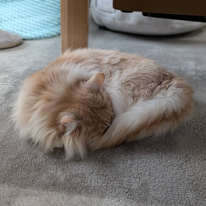 Fc7173bd 862d 4257 a841 b03ef4fe1d55 1745382680938