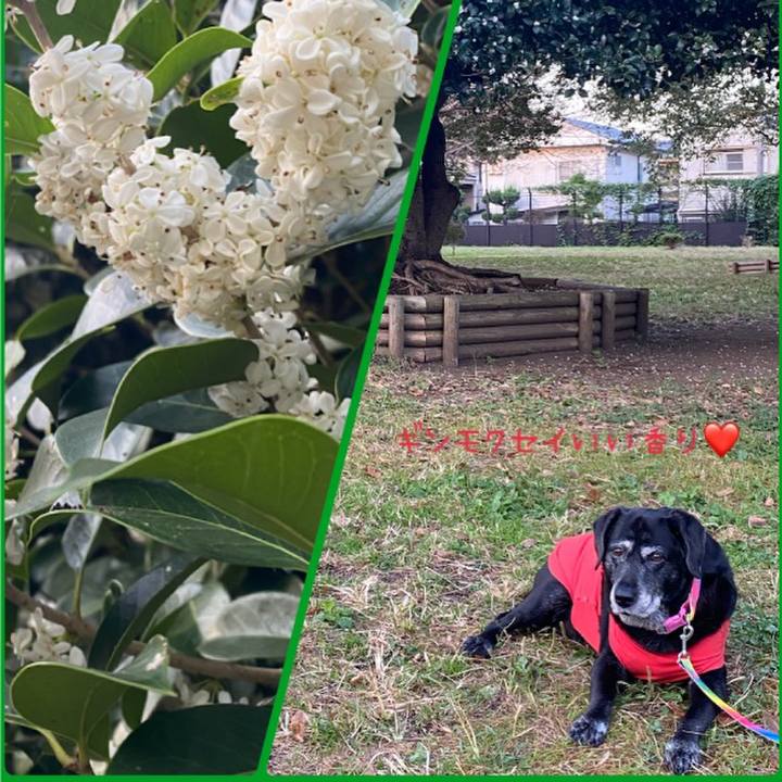 Fc71a42f 44ce 4e17 b44c c25901c81e3d 1698359923168