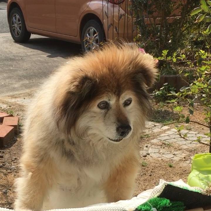 Fc71b5b5 c22b 487a 88f6 5cb2e8949656 1555455891846