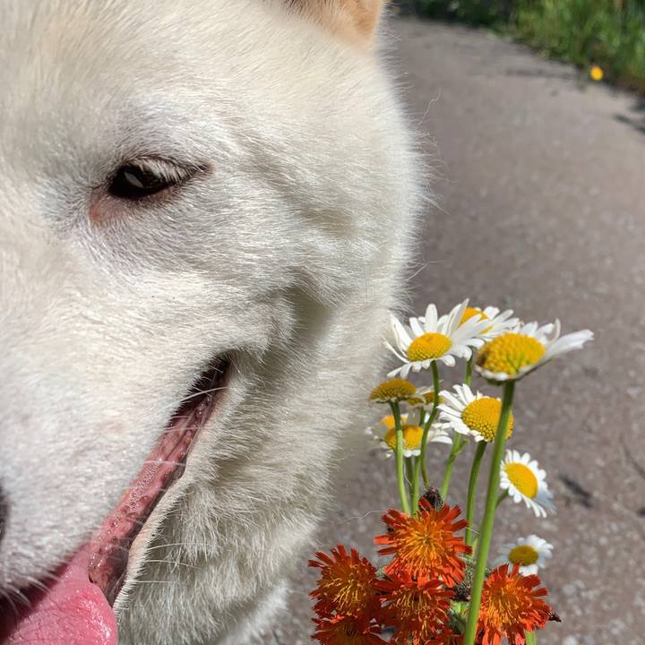 Fc71f0a3 5acf 46cf 8991 f5a18f54be94 1561499694020