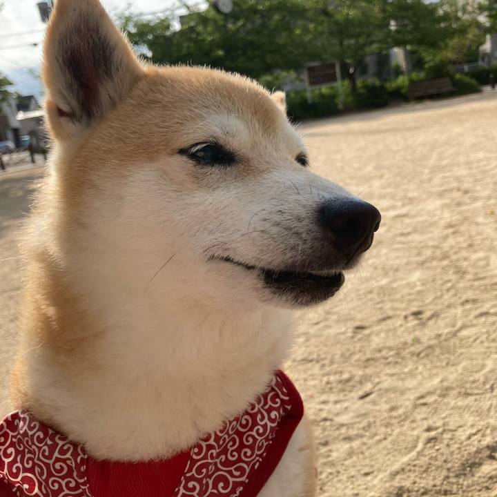 Fc71fb79 dcf3 4d0c b95d e46567eabd41 1627123007755