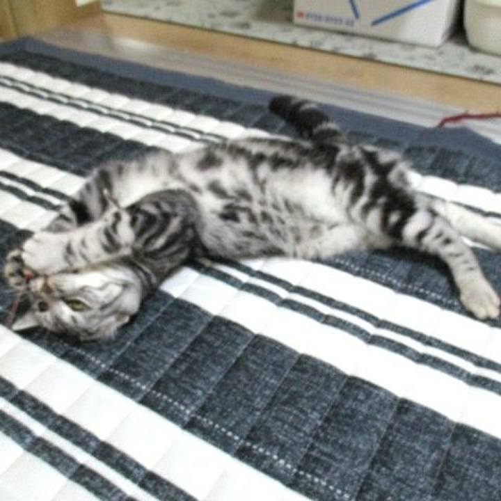 Fc7212af f8ad 4f14 bd90 bd654d73ac21 1538830868195