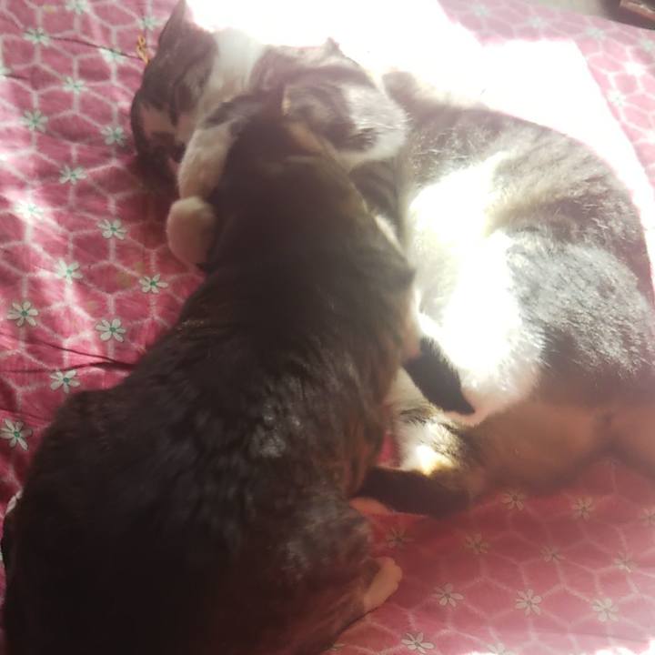 Fc722a6a 265f 4a56 b728 59910e670af1 1607738805811