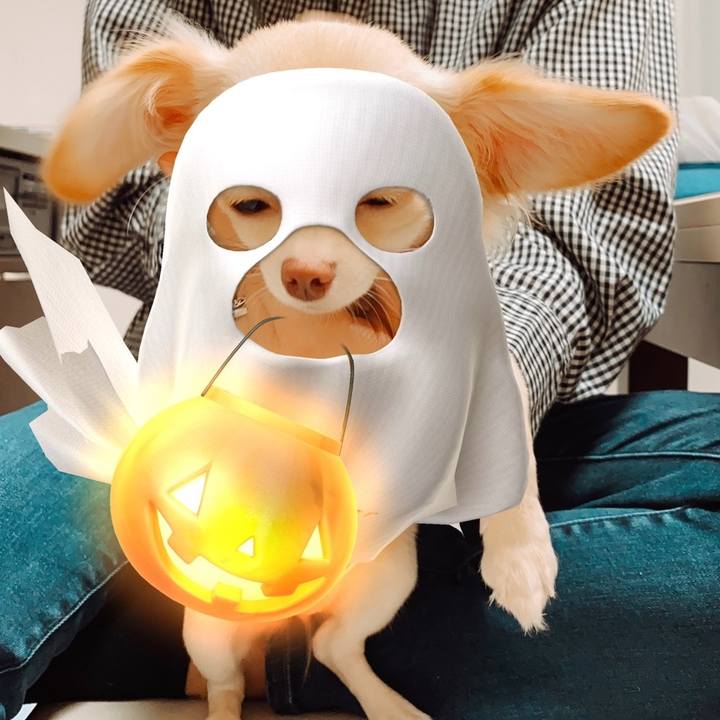 Fc723476 ca08 47d9 a298 6799c25258a4 1600069984615