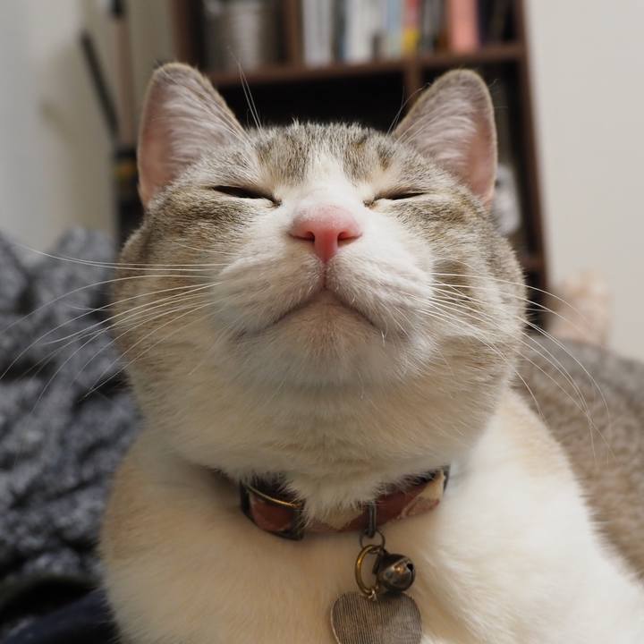 Fc726039 af51 4ef0 8caa 9a35dd4827bd 1649842998555